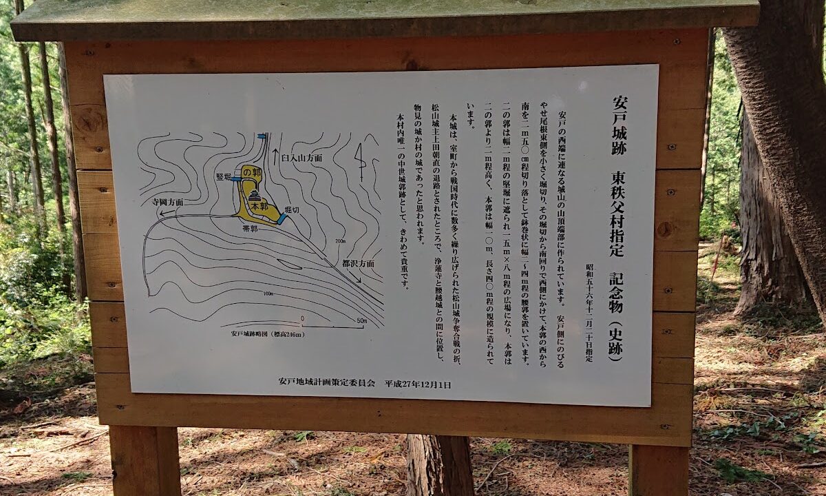 아도 성（埼玉県）