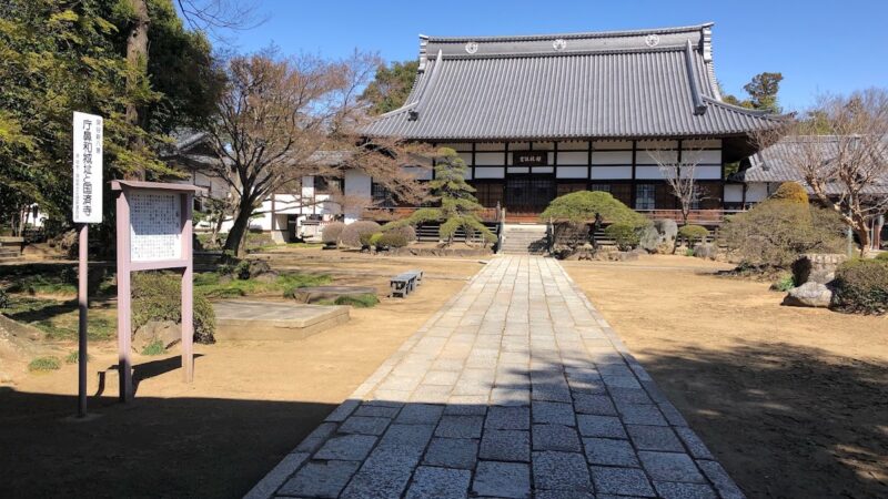 庁鼻和城（埼玉県）