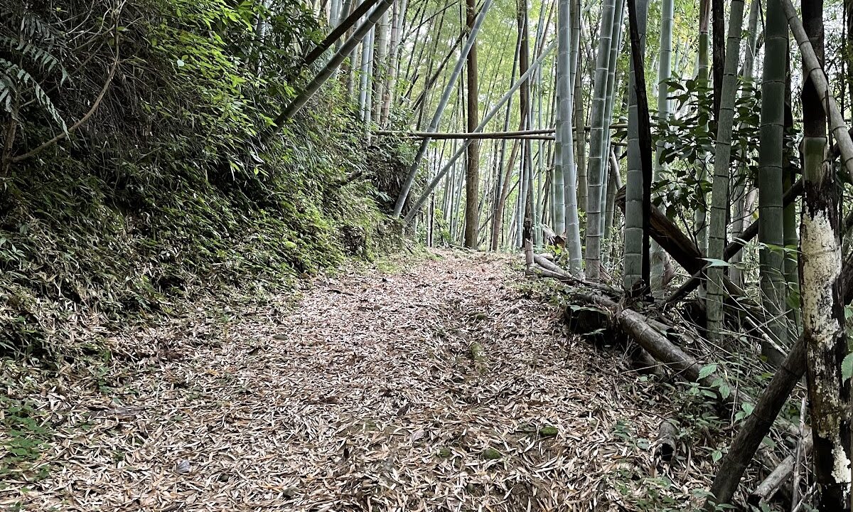 성（埼玉県）