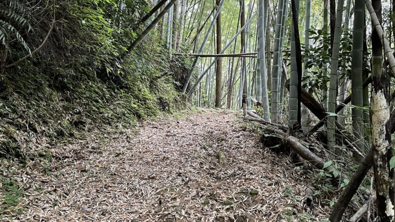 城（埼玉県）