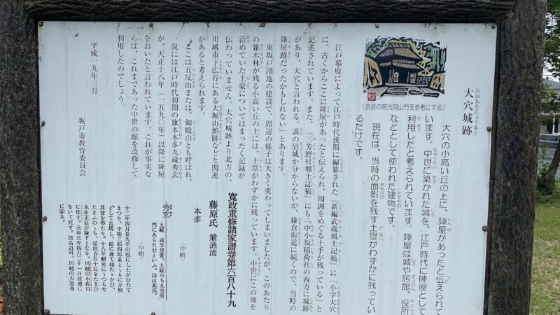 大穴城（埼玉県）