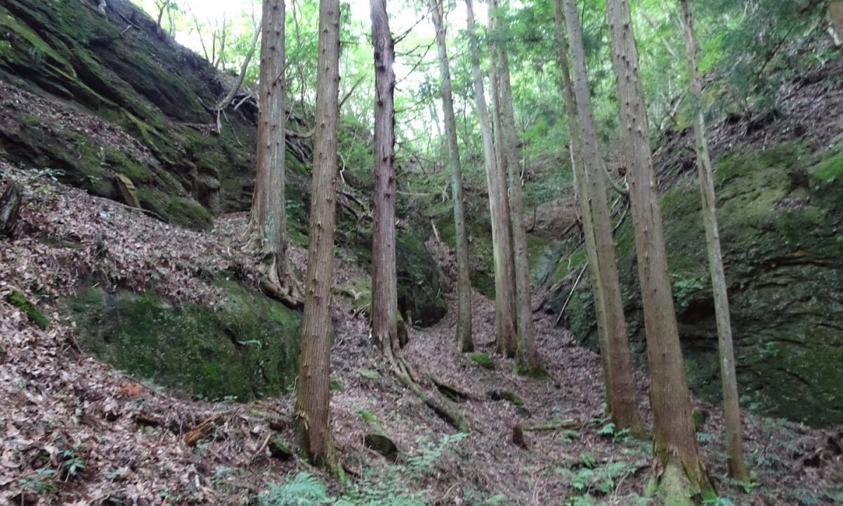 Hio Castle（埼玉県）