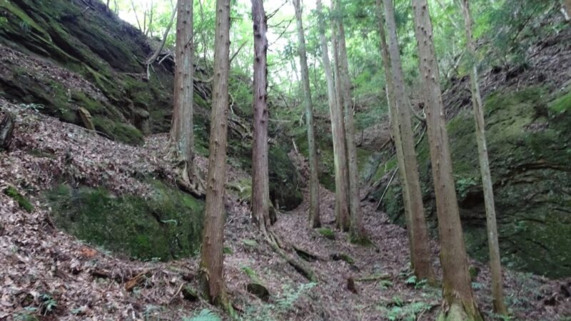 日尾城（埼玉県）