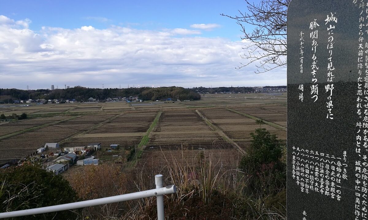 寺崎城（千葉県）