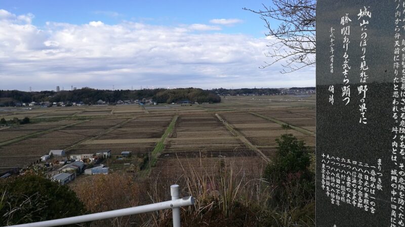 寺崎城（千葉県）