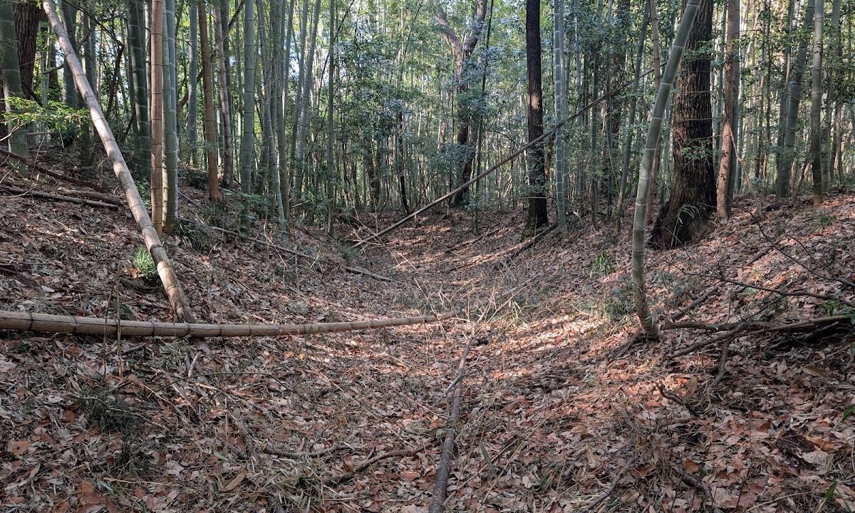 Ohoriyama Castle（埼玉県）