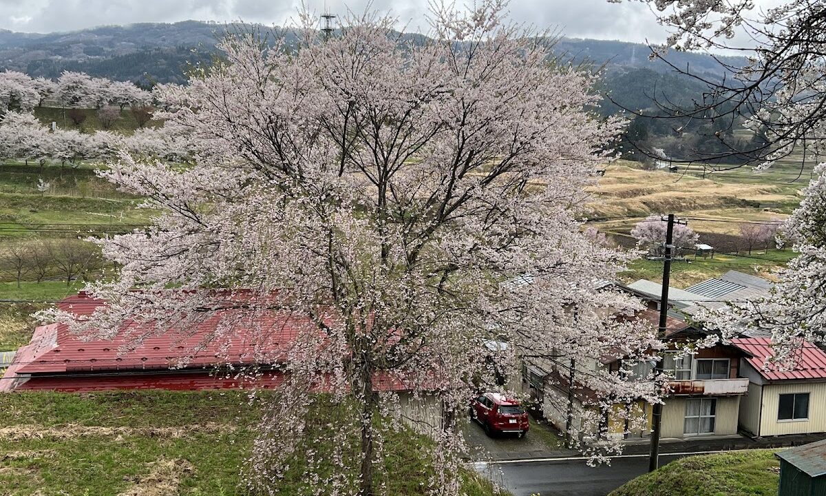小早川城遗址（岩手县）