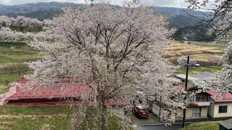 小梁川館跡（岩手県）