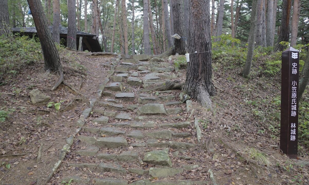 Obayashi Castle（岩手県）