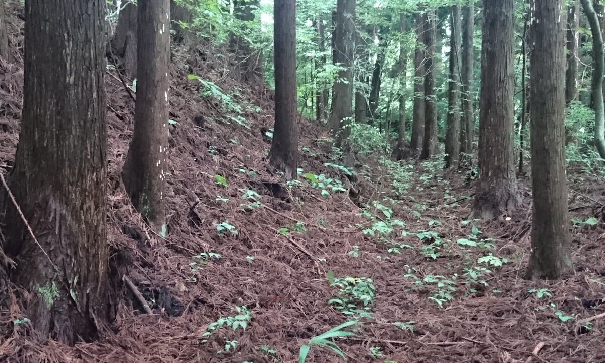 Esashi Family Residence Ruins（岩手県）