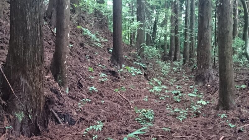 江刺家館跡（岩手県）