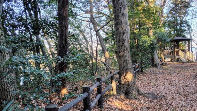前ヶ崎城（千葉県）