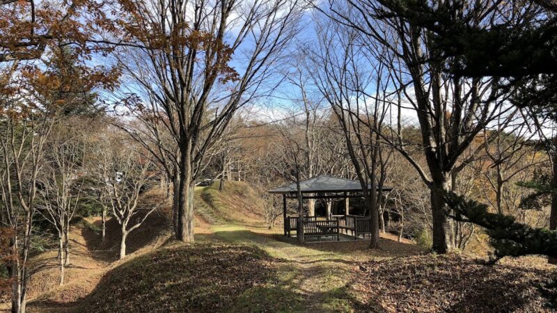 真坂館跡（宮城県栗原市）