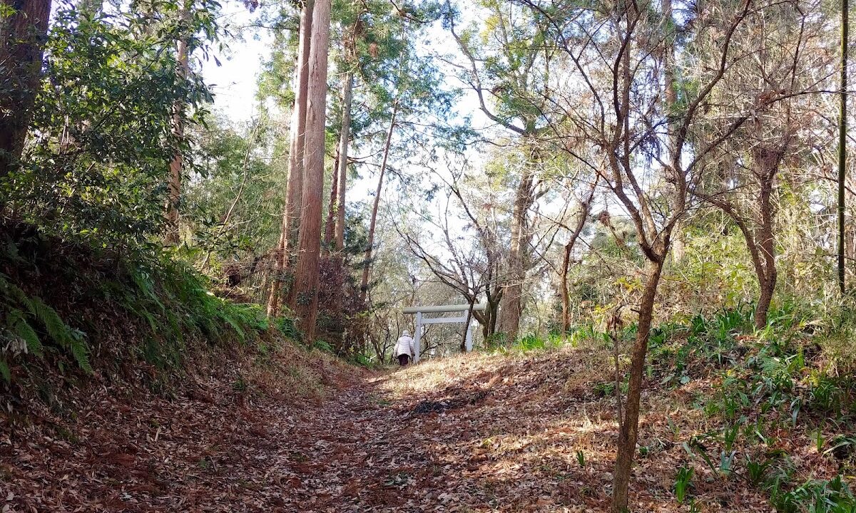 Ikewada Castle（千葉県）