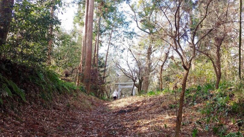 池和田城（千葉県）