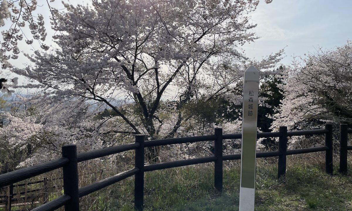 Matsumori Castle（宮城県）