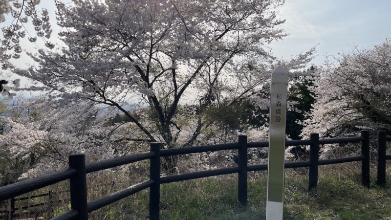 松森城（宮城県）