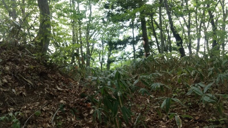 次年子館跡（山形県）