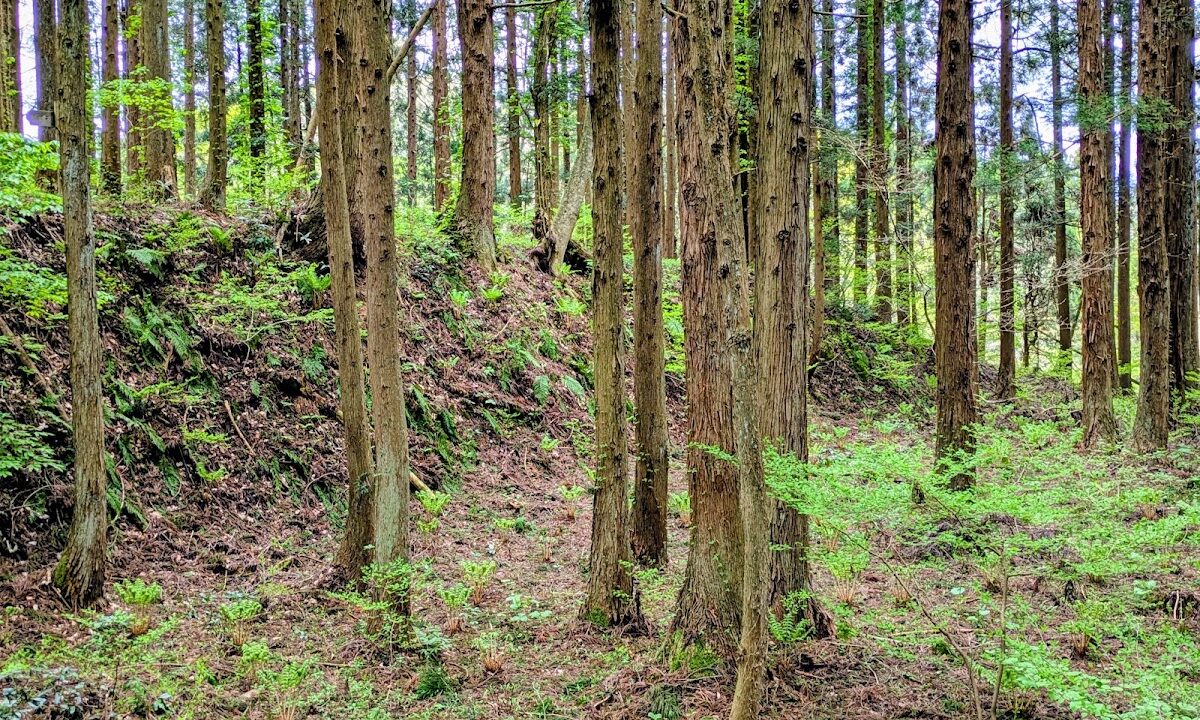 志茂の手館跡（山形県）