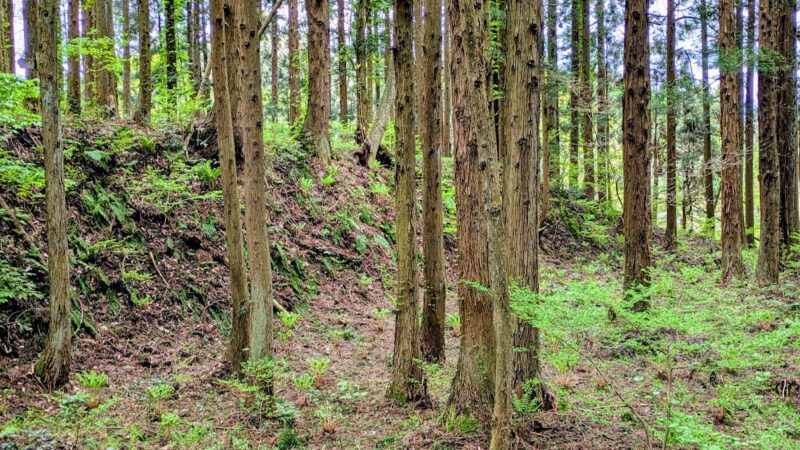 志茂の手館跡（山形県）