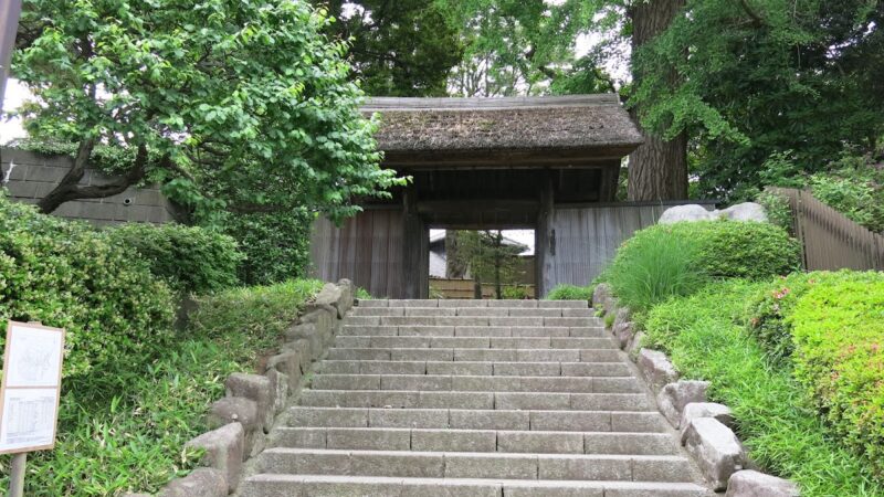 松戸城（千葉県）