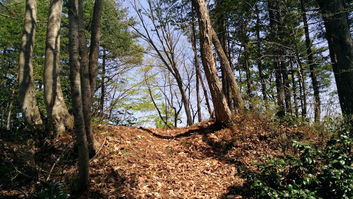 Nakamaru Castle（福島県）