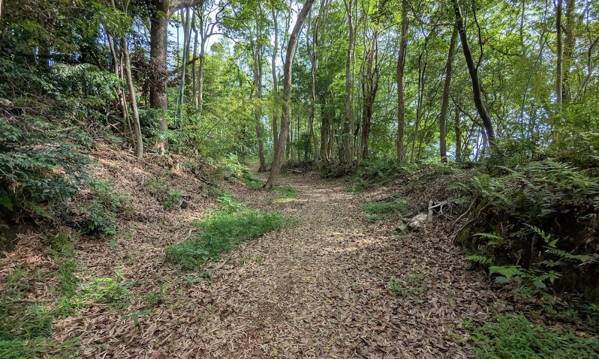 Tatebori Castle Ruins（秋田県）