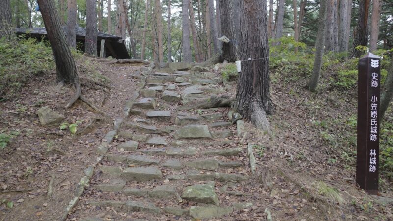 八幡林館跡（秋田県）
