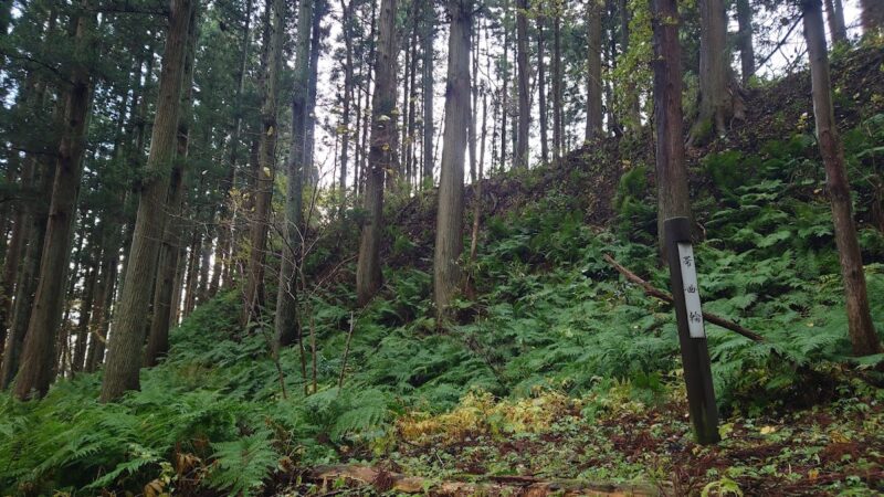 鮭延城（山形県）