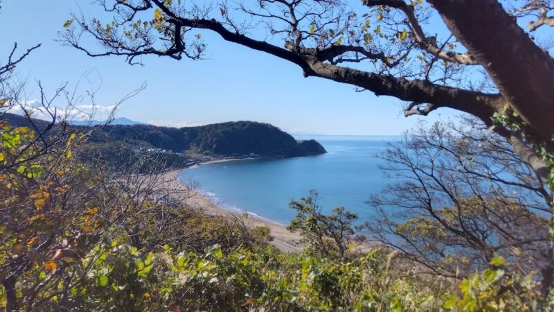 大崎城（千葉県）