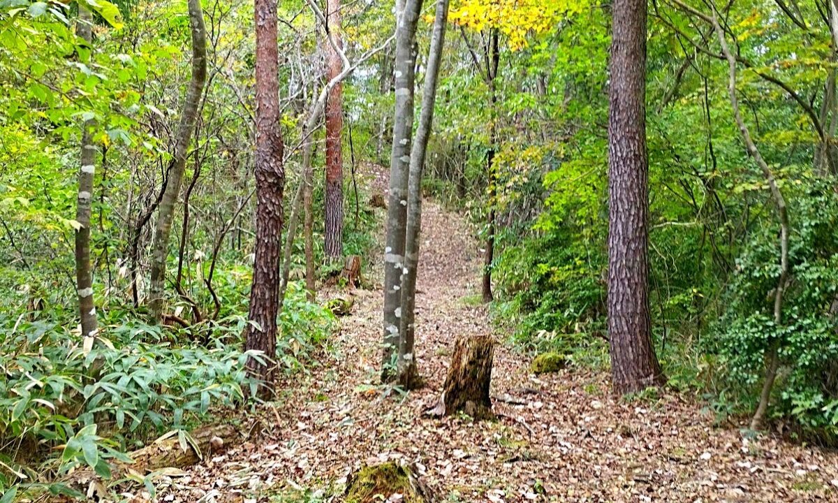 上遠野城（福島県）
