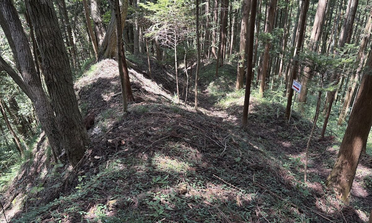 寺山城遗址（福岛县）