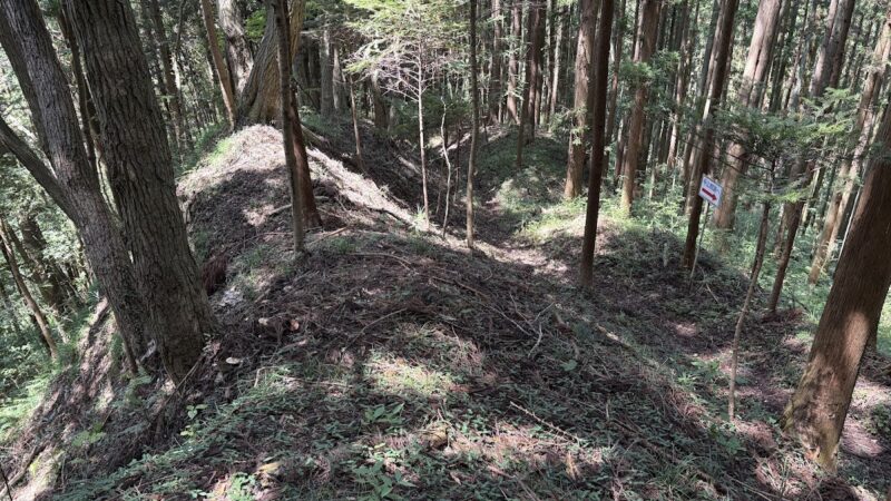 寺山館跡（福島県）