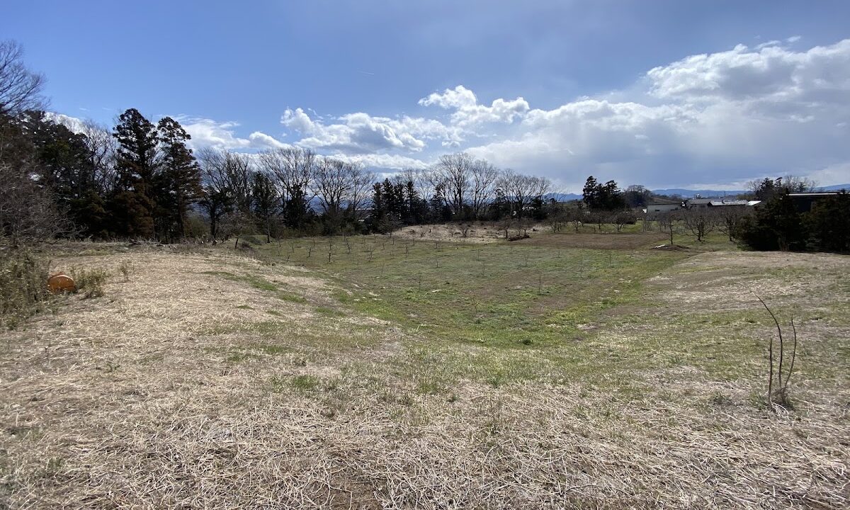 Ishimoda Castle（福島県）