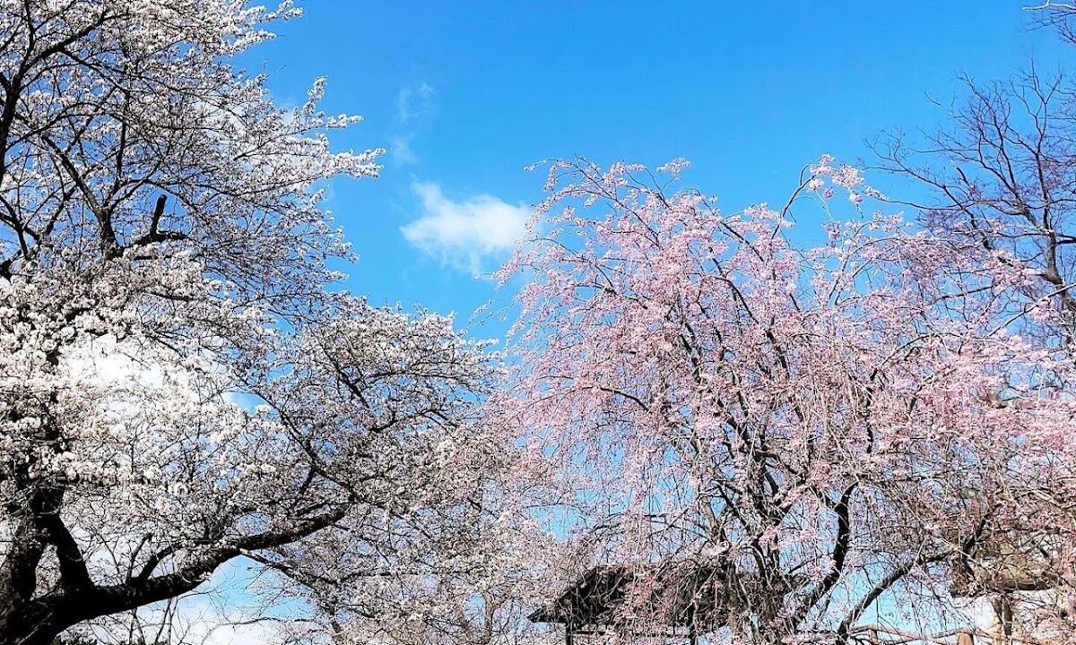 簪子城（福島県）