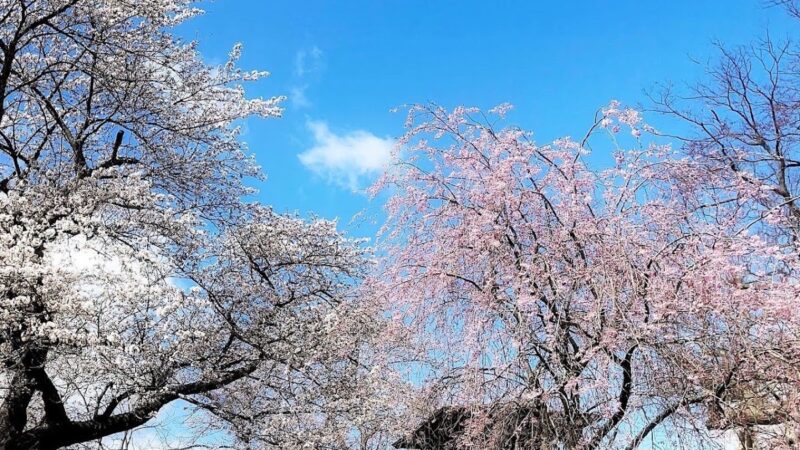神指城（福島県）