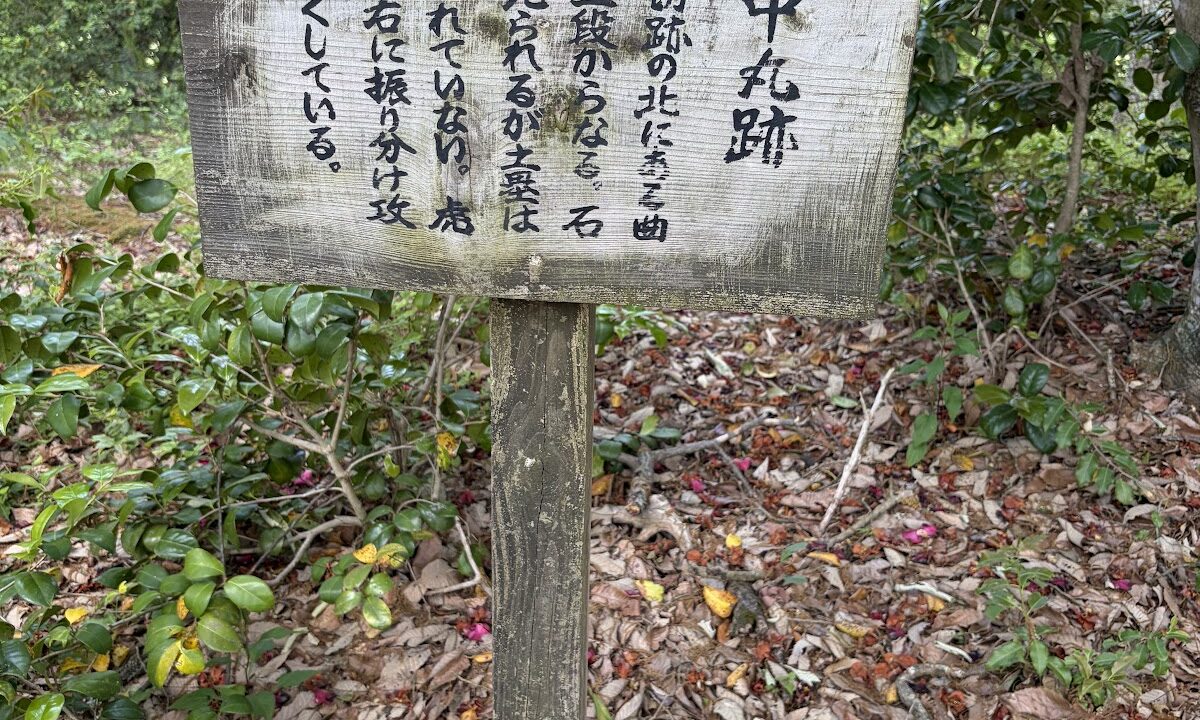 Nakamaru Castle Ruins（福島県）