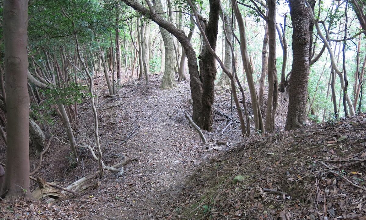 鎌田館跡（福島県）