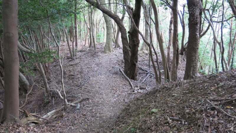 鎌田館跡（福島県）