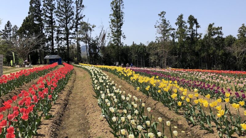 新地城（福島県）