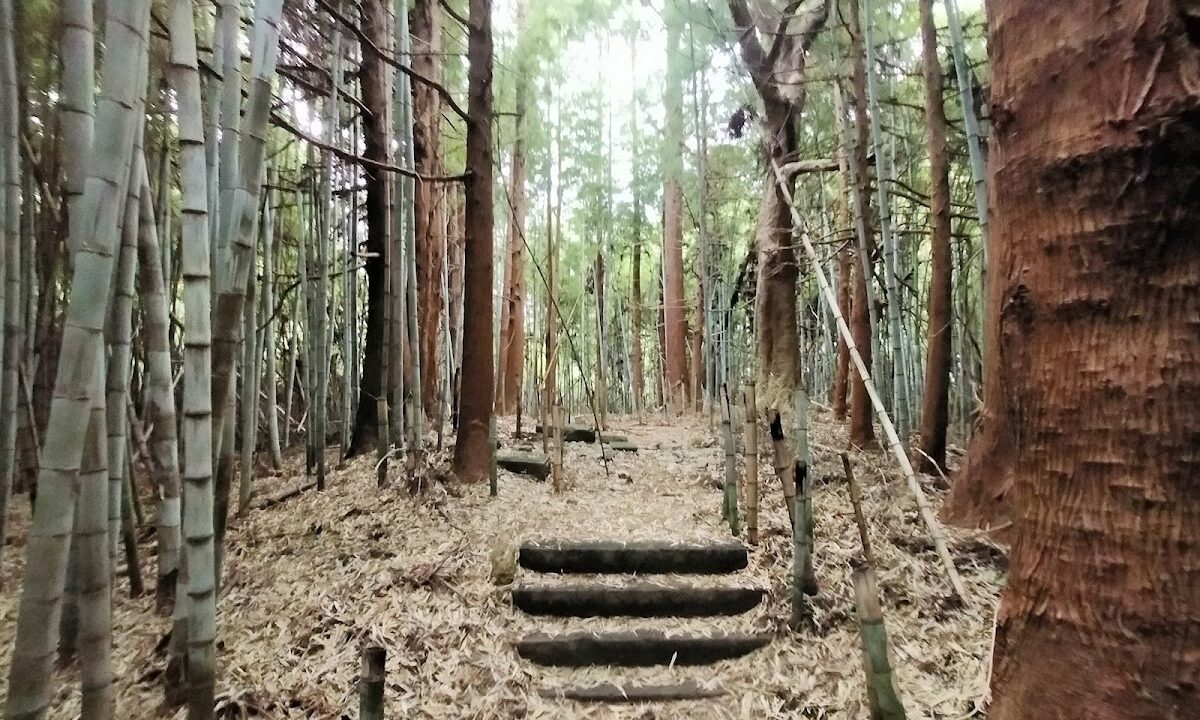 权贤堂城（福島県）
