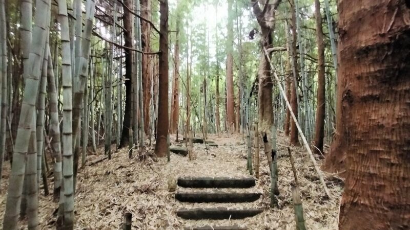 権現堂城（福島県）