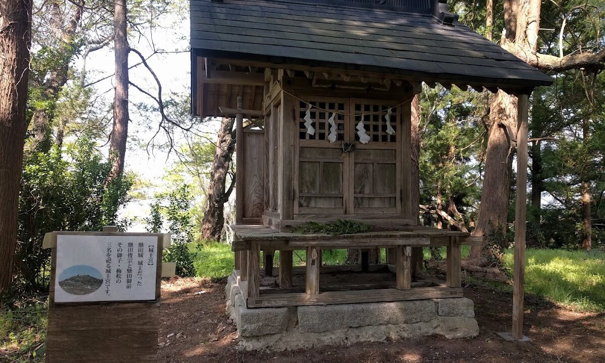 挂田城（福島県）