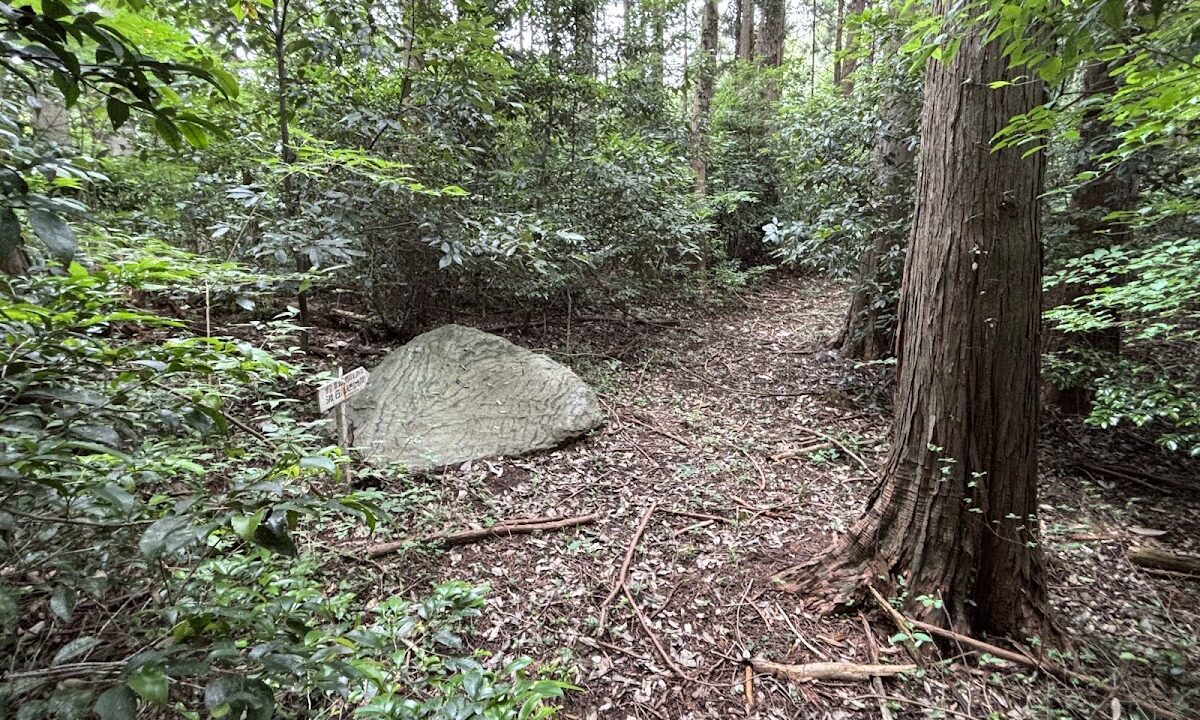 다테기시 성터（茨城県）