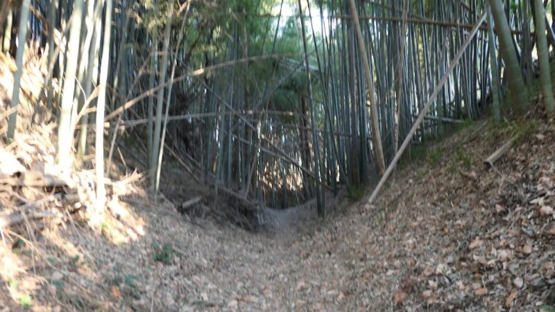 牛久陣屋跡（茨城県）