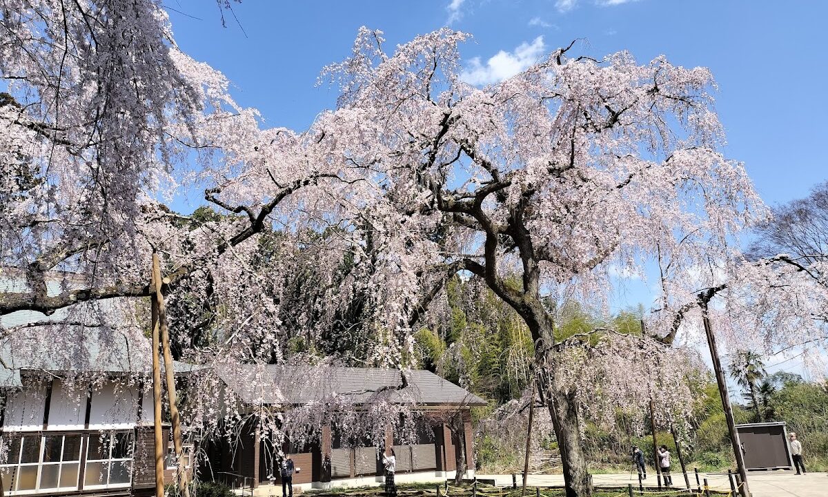 Fukuseiji Castle（千葉県）