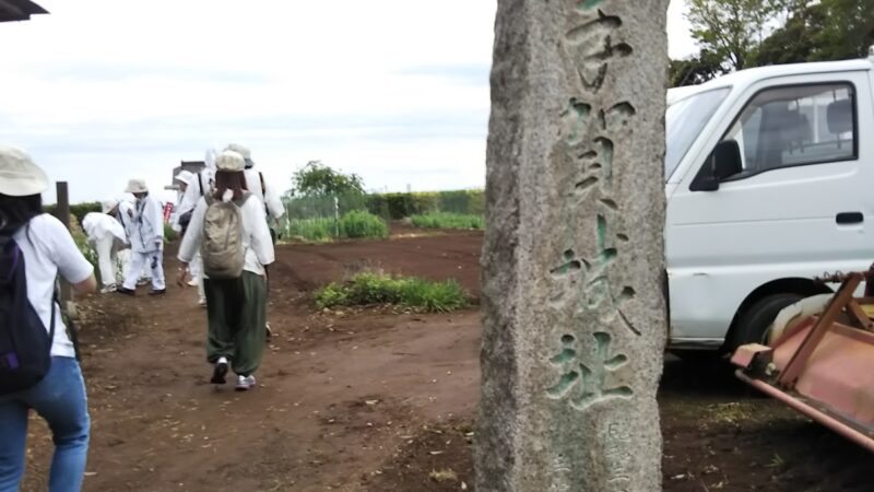 手賀城（千葉県）