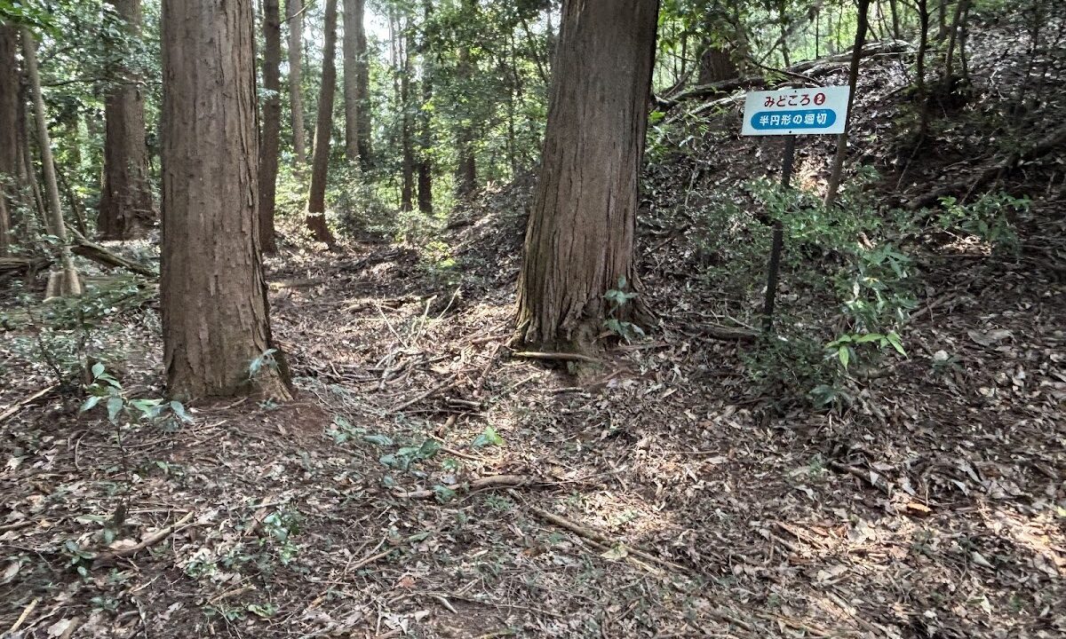 真名子城（栃木県）