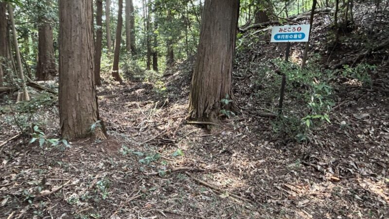 真名子城（栃木県）