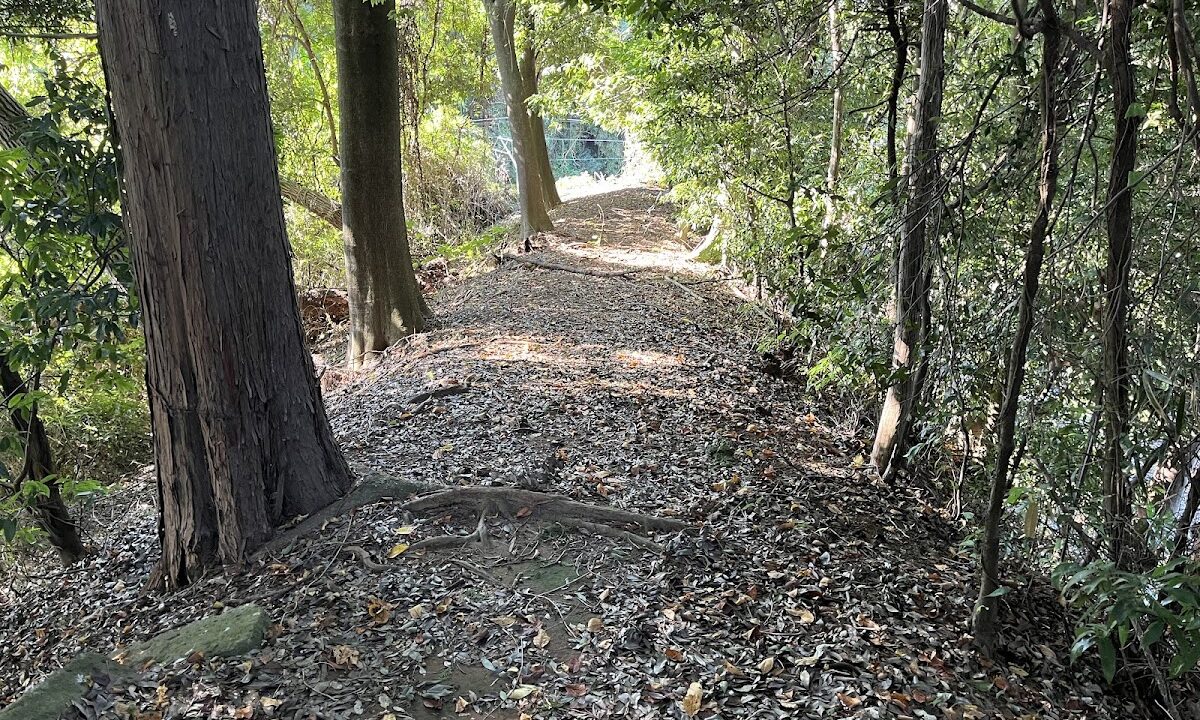 中久喜城（栃木県）